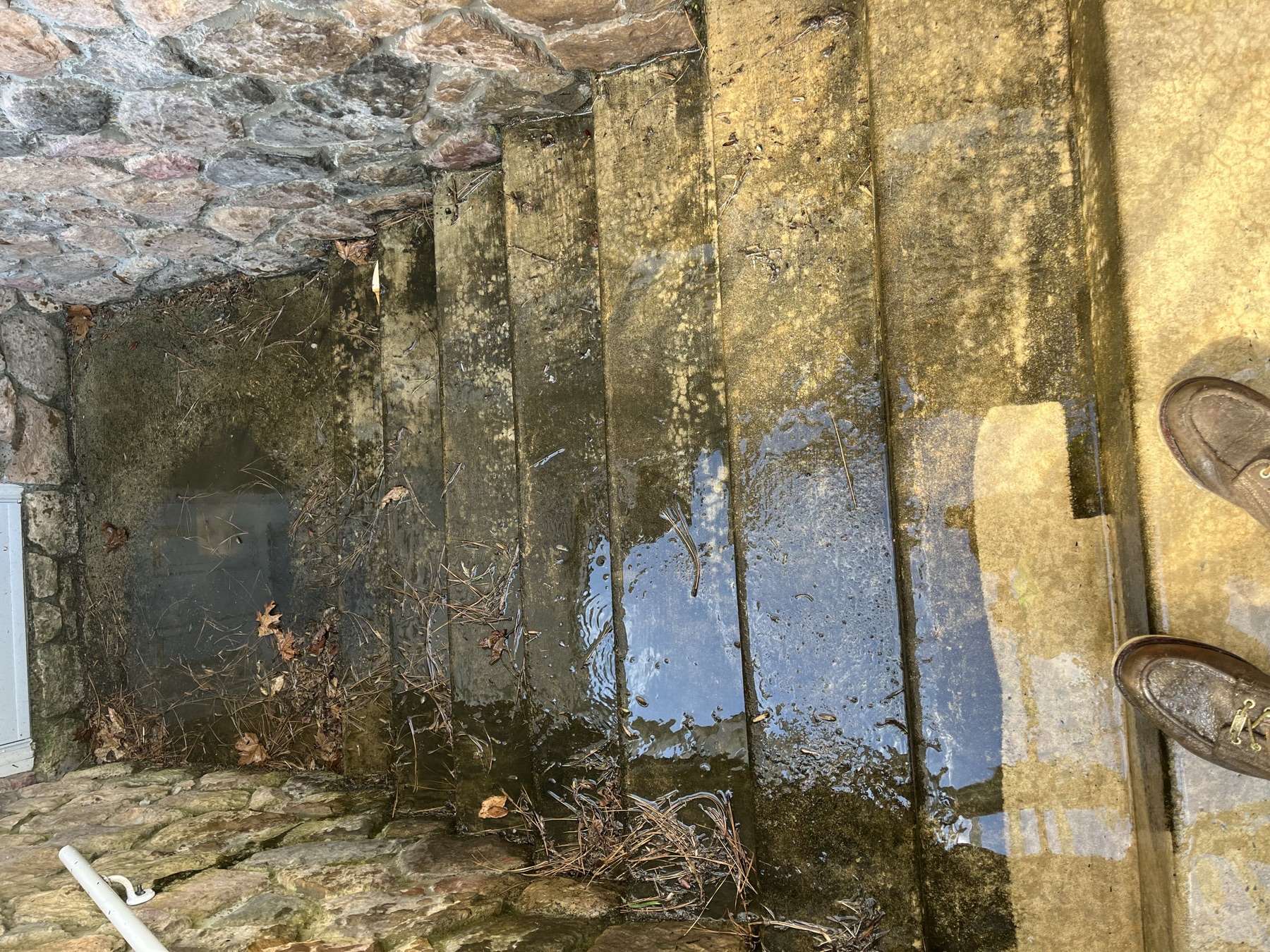 Dirty concrete steps before pressure washing